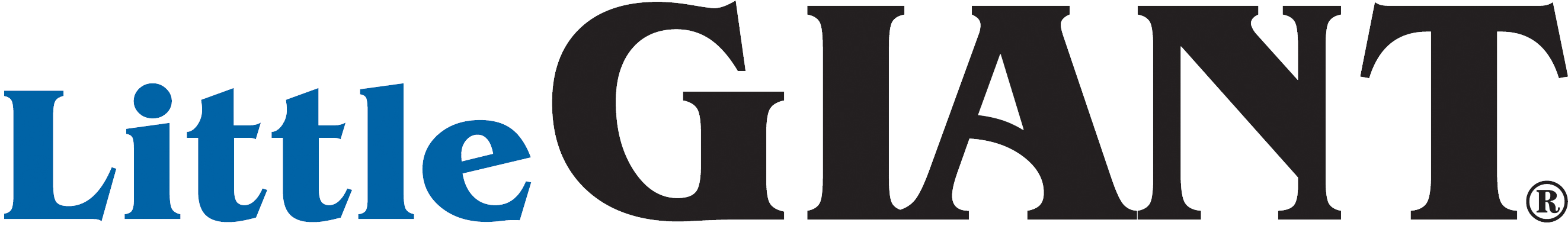 Little Giant Pumps Logo (2700x413)