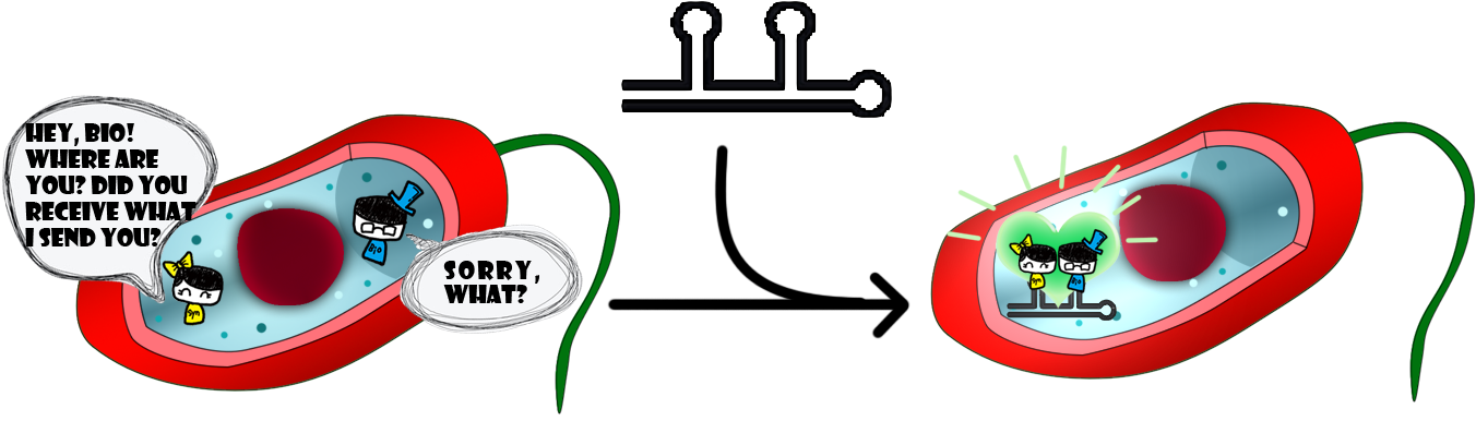 1 The Function Of Binding Enzymes Together Of Rna Scaffold - 1 The Function Of Binding Enzymes Together Of Rna Scaffold (1373x425)