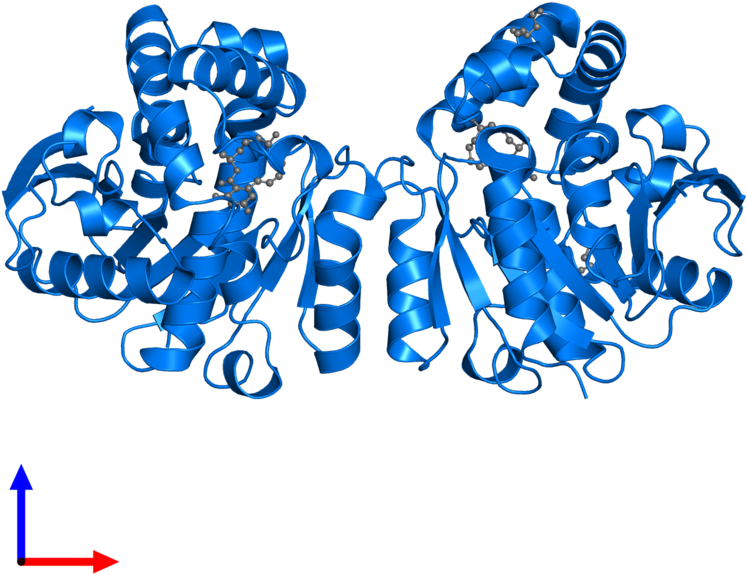 <div Class='caption-body'>pdb Entry 5z7j Contains 2 - <div Class='caption-body'>pdb Entry 5z7j Contains 2 (800x800)