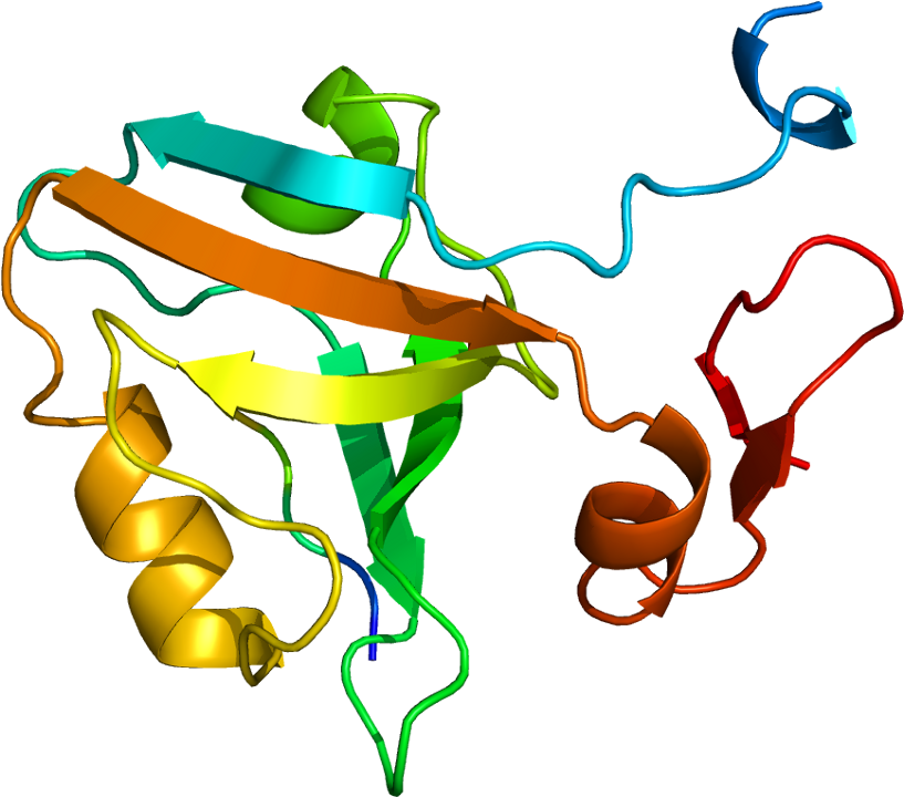 Psd95 Protein Structure (866x769)
