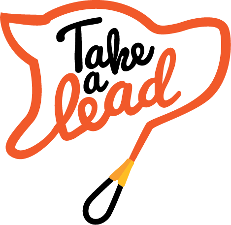Take A Lead - Take Lead (469x457)