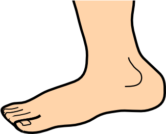 Good Hygiene - Leg Clip Art (324x594)