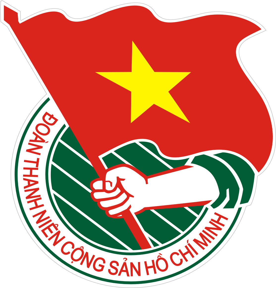 About Vietnam Assistance For The Handicapped Graphic - Đoàn Thanh Niên (1200x1200)