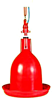 Jumbo Drinker - Bird (479x393)