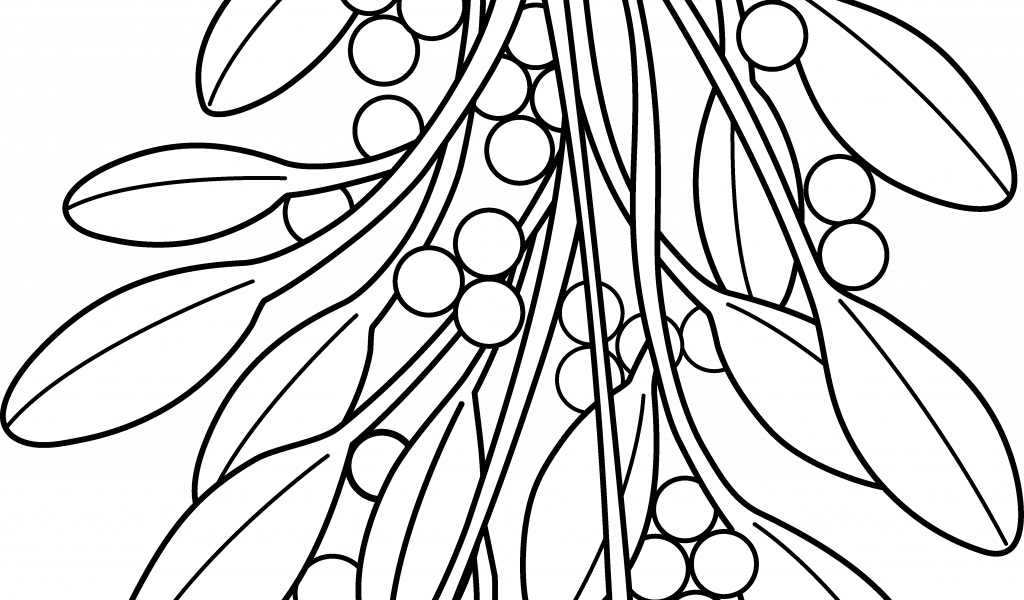 Christmas Coloring Pages Black And White With Mistletoe - Christmas Mistletoe Colouring Page (1024x600)