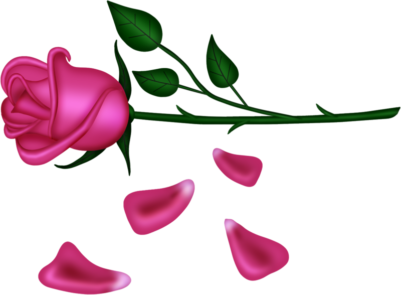 Pin By **dawn** On Bows Ribbons & Balloons - Flower (800x588)