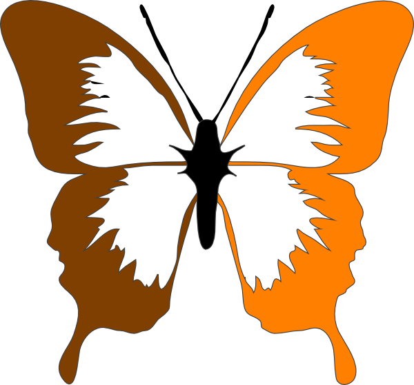 Clip Art Butterfly (600x559)