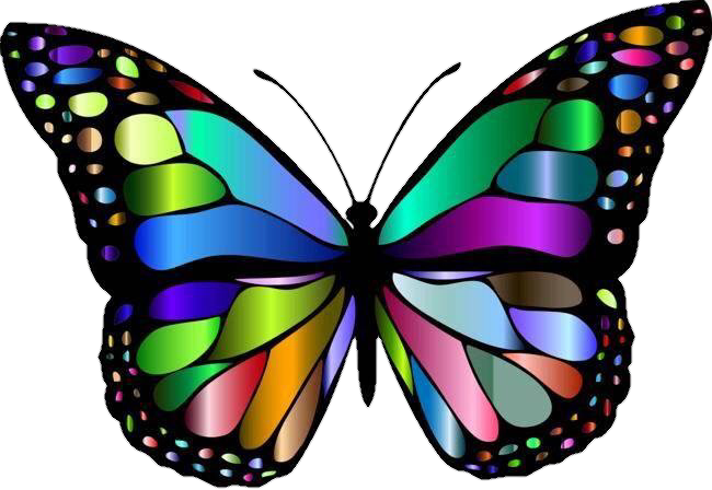Report Abuse - Colorful Butterfly Wallpaper Hd (650x448)