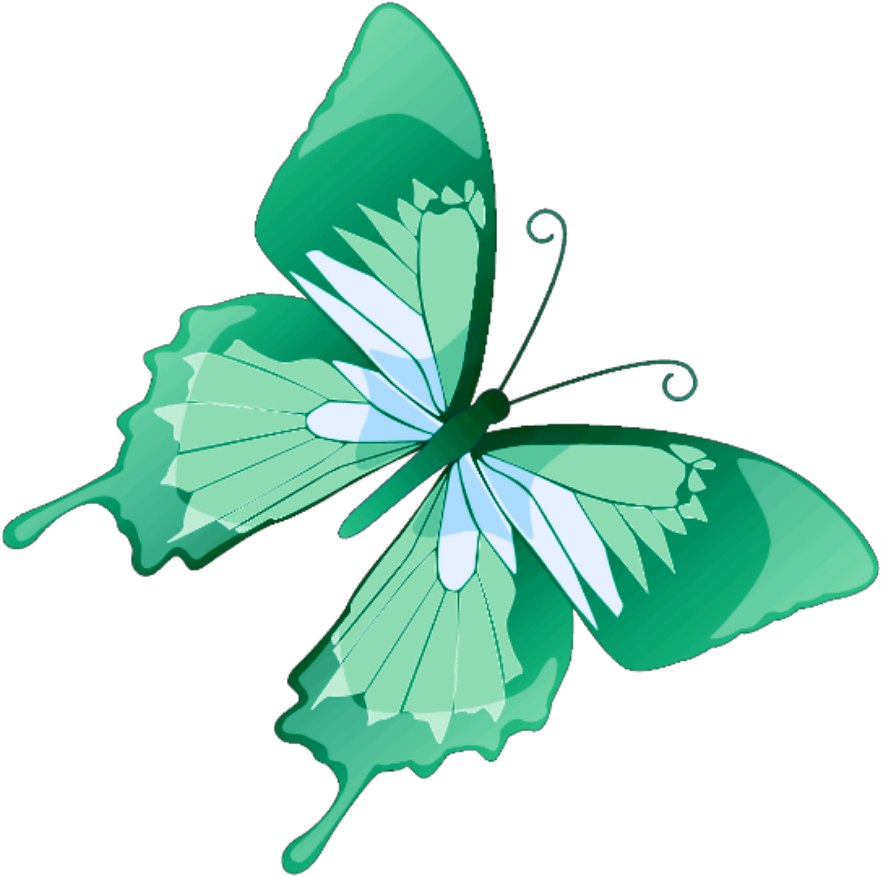 Butterfly Mariposa Diurna Day Diurnal Spring Primavera - Butterfly Vector (944x933)