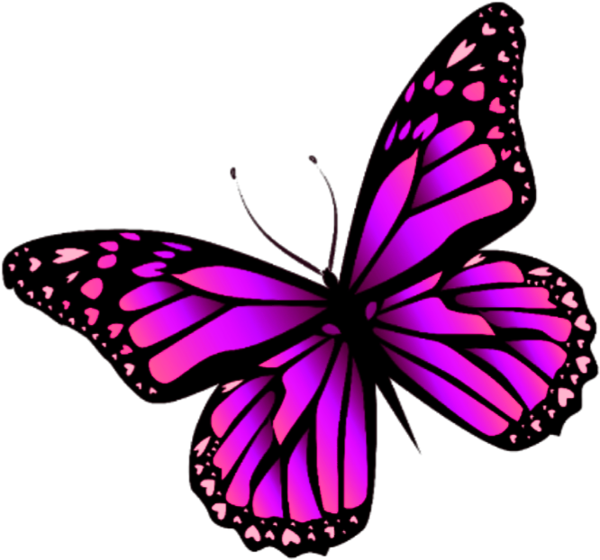Butterfly Mariposa Monarch Monarca Nature Naturaleza - Butterfly Purple (712x663)