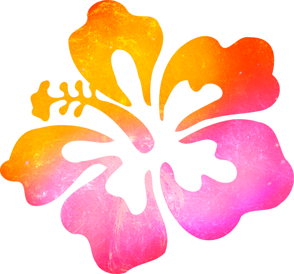 Wildflower - Hibiscus Clip Art (1000x932)