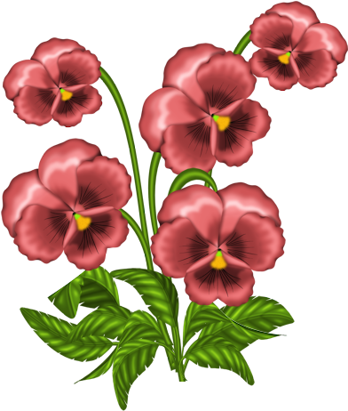 Blume Cliparts, Alles Gute Wünschen, Blumenbilder, - African Violets Clipart (480x480)