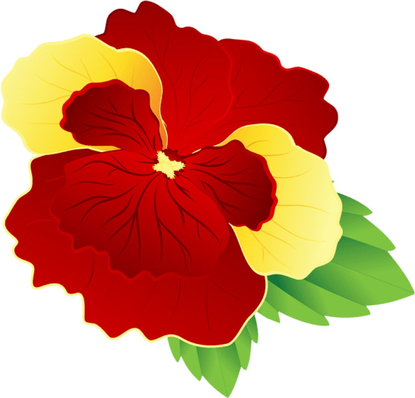 Free Png Red And Yellow Pansy Png Images Transparent - Red And Yellow Flower Png (850x816)