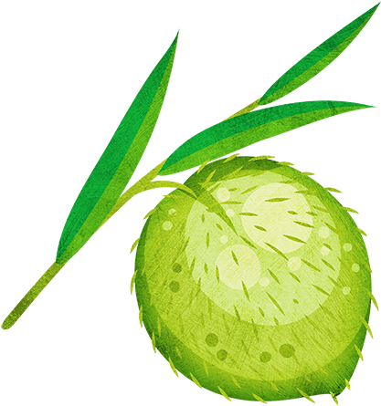 Swan Plant - Swan Plant Clip Art (500x500)