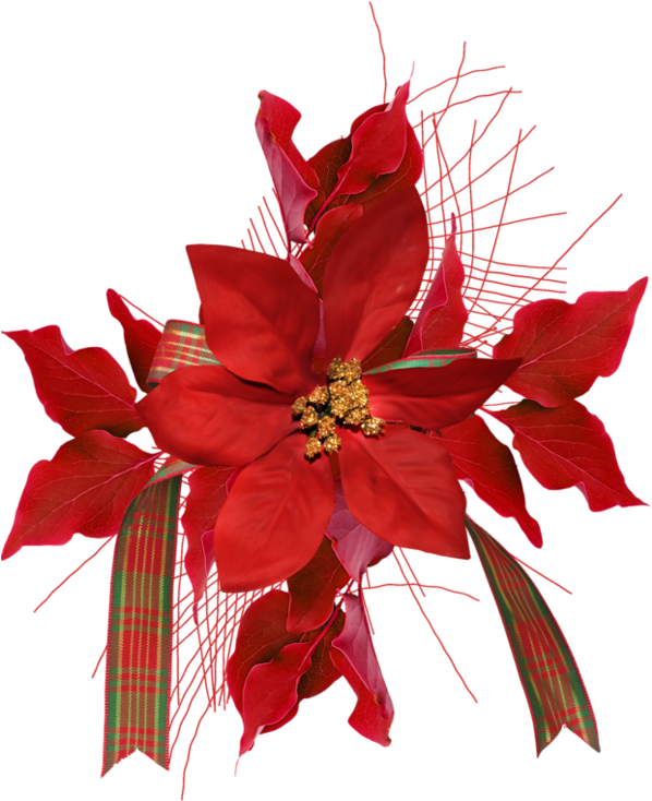 Tube, Flowers, Clip Art, Florals, Floral, Bloemen, - Flower (600x772)