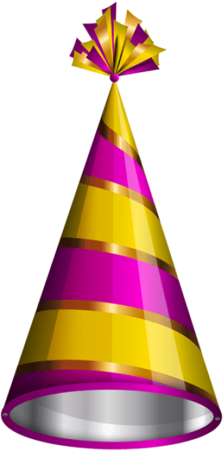 Birthday Party Hat Png - Happy Birthday Hat Png (480x673)