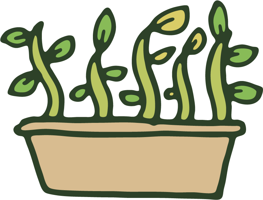 Image Library Mgv Propagati Master Program Mgvclipartplantpropagati - Plant Propagation Clipart (928x705)