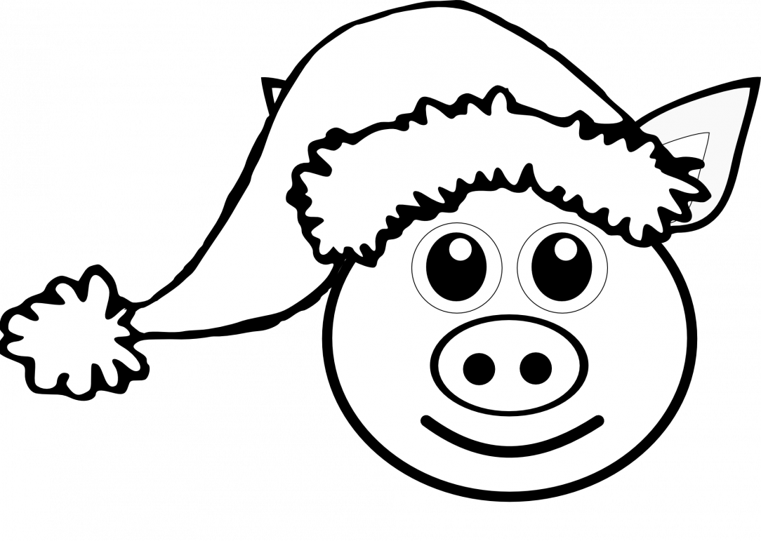 Large Size Of How To Draw A Pig Face Cute Drawing Realistic - Pig Christmas Coloring Pages (1084x771)