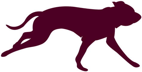 Dog Running Sequence Transparent - Running Dog Silhouette Transparent (512x512)