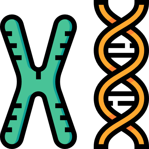 Biochemistry Clipart Biochemistry Clip Art - Chromosomes Icon (512x512)
