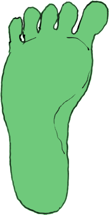 You Can Scroll To The Next Or Previous Enlargement - You Can Scroll To The Next Or Previous Enlargement (429x798)