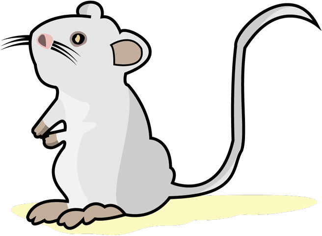 Clipart Freeuse Stock Monoclonal Development And Production - Cat (705x532)