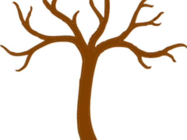 Branch Clipart Tree Clip Art - Bare Tree Silhouette Png (640x480)