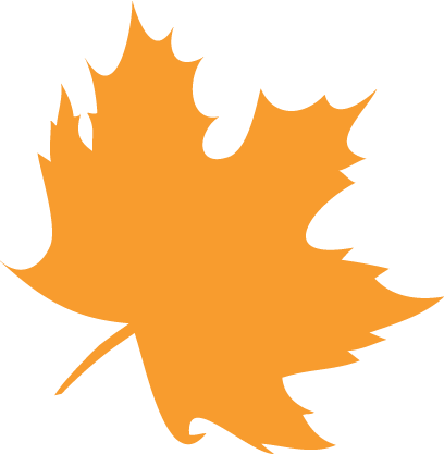 Photo By @daniellemoraesfalcao - 秋天 的 树叶 图片 (408x417)