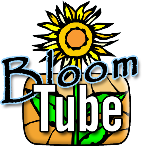 Bloom Tube 248 For Sunday February 9, - Bloom Tube 248 For Sunday February 9, (500x512)