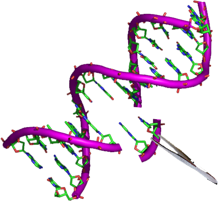 Genetic Engineering (459x432)