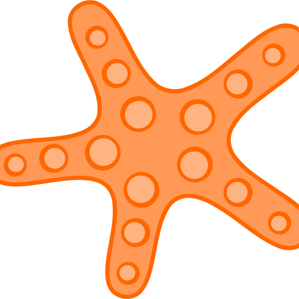 Starfish Clipart Cute Starfish Clipart Clipart Panda - Starfish Clipart Transparent (1024x1024)