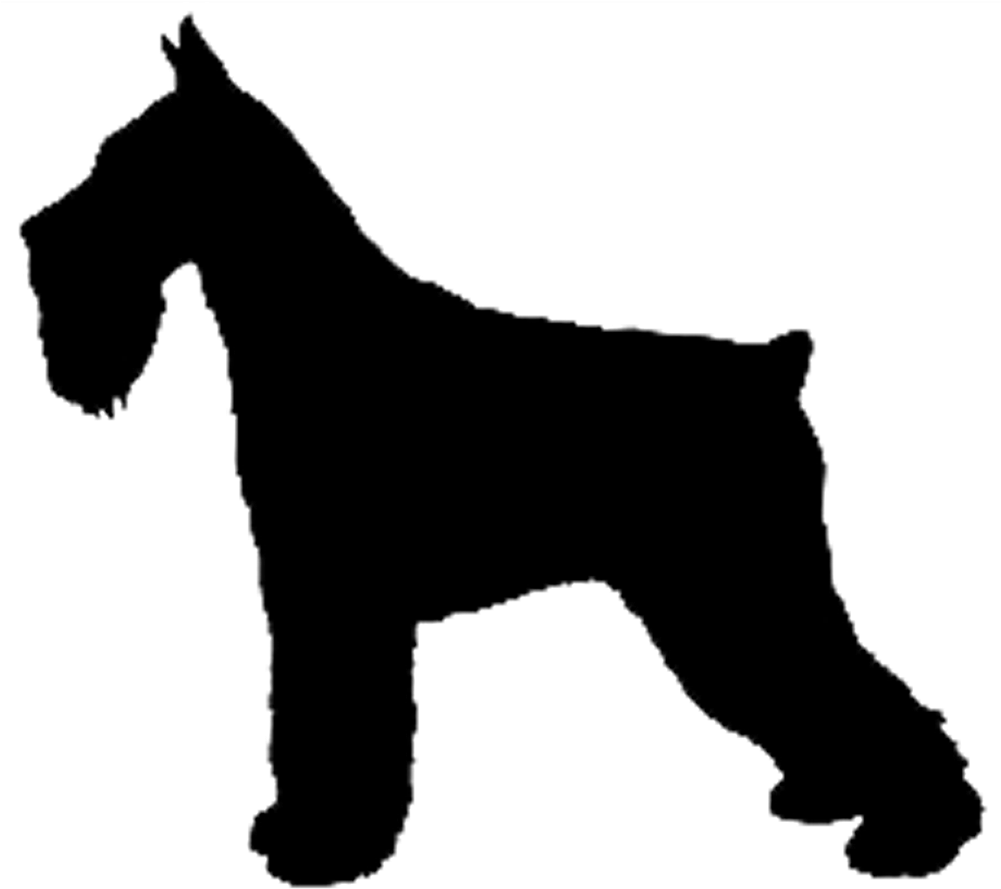 Shaow Clipart Unicorn - Black Unicorn Silhouette (1000x1000)