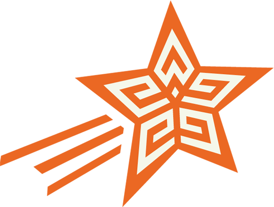 This Star Won't Go Out Is A Non For Profit Organization - Star Won T Go Out Logo (561x424)