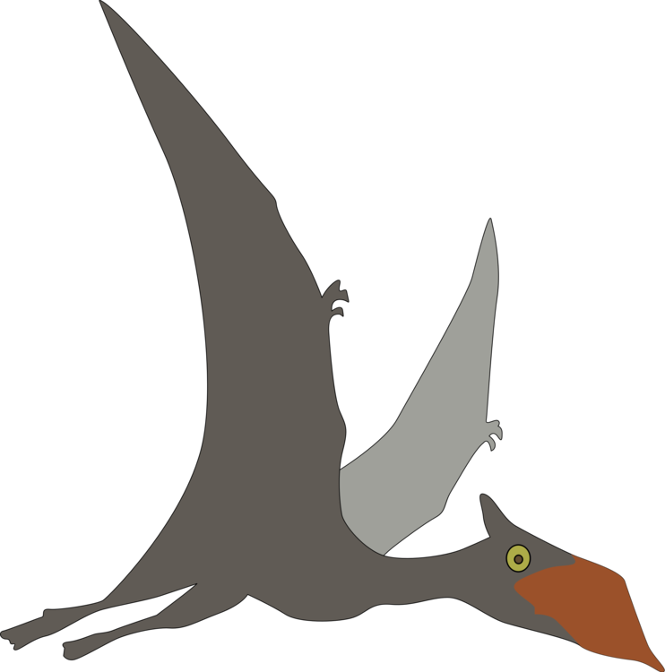 Pterosaurs Line Art Dinosaur Sinopterus Bird - Flying Dinosaurs Clipart (742x750)
