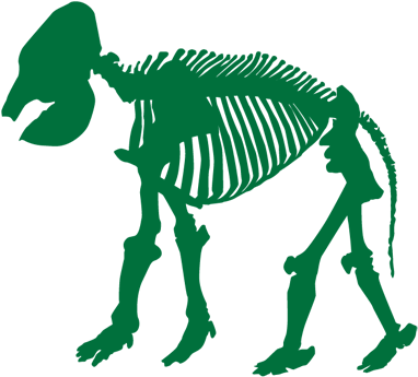 2019 Natuurhistorisch Museum Rotterdam - Illustration (416x357)