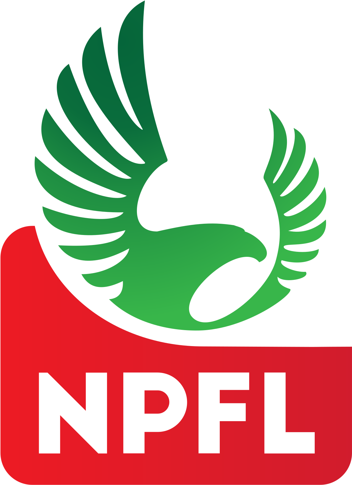 Nigeria Professional Football League (1200x1652)