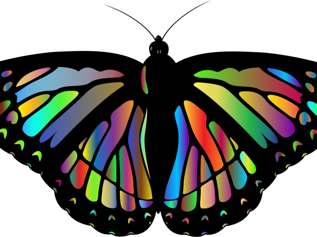 Monarch Butterfly Clipart Colorful Flying Butterfly - Cartoon Monarch Butterflies (640x480)