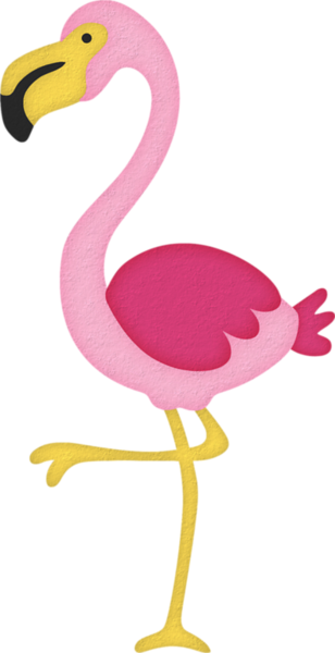 Greenacresgardens Buy Bosfloridaflamingo - Greater Flamingo (308x600)