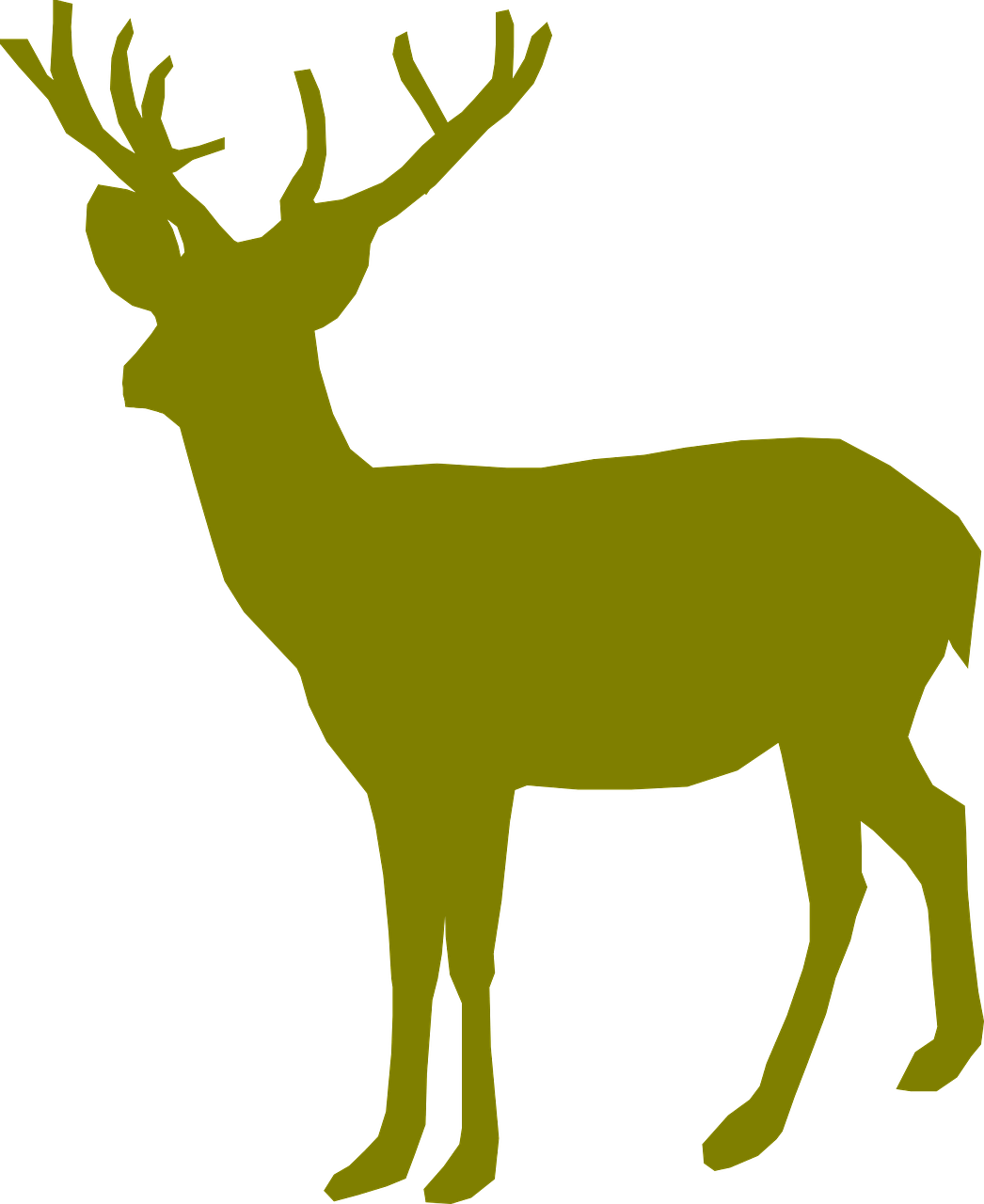 Image Free Library School Hunting Practice With Reinhold - Deer Green (1046x1280)