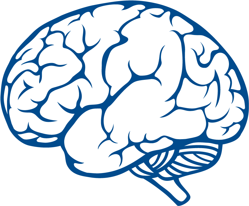 “dementia Is A Normal Part Of Ageing” True Or False - Brain Outline (874x731)