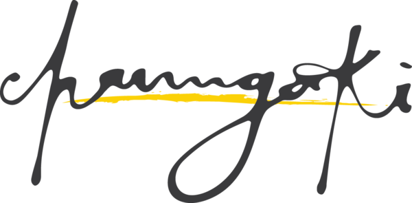 Priscilla Chan (600x295)