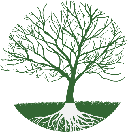 Family Tree Clipart - Realistic Tree Without Leaves (481x487)