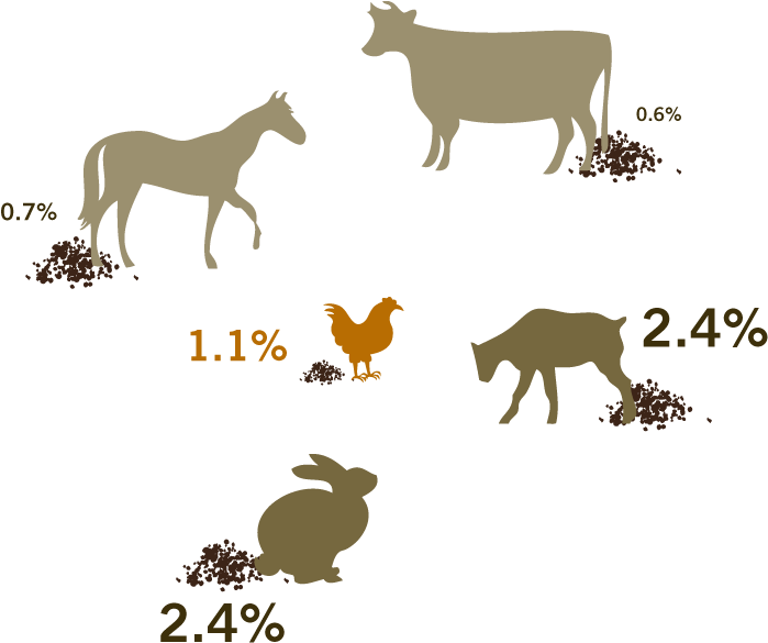 Svg Transparent Bird Poop Clipart - Goat Poop Vs Rabbit Poop (700x594)
