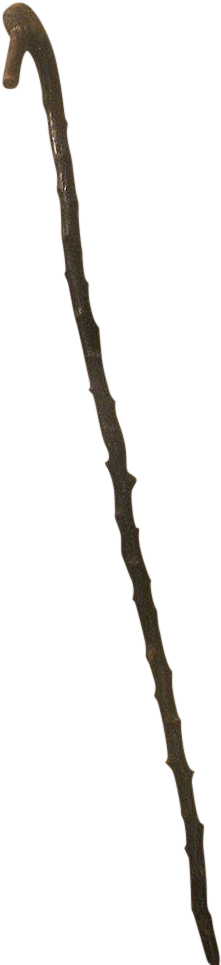 Clip Art Library Download Branch Transparent Stick - Walking (964x964)