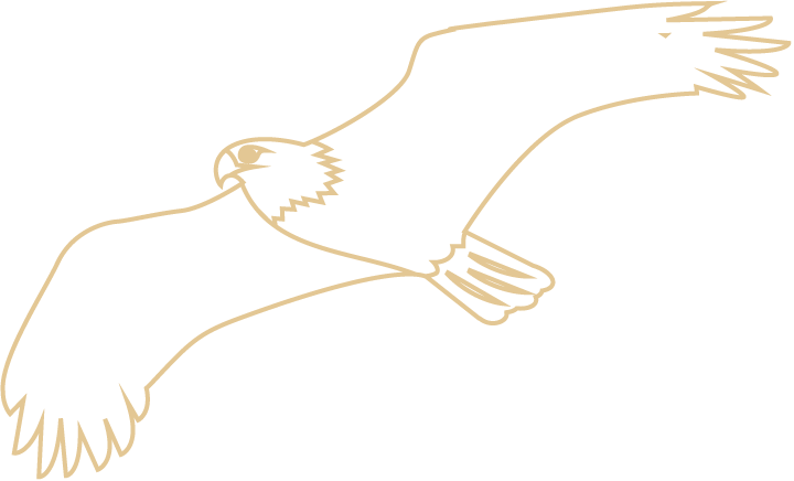 Siege 13 By Tamas Dobozydobozy's Stories, Like Munro's, - Eagle (720x436)