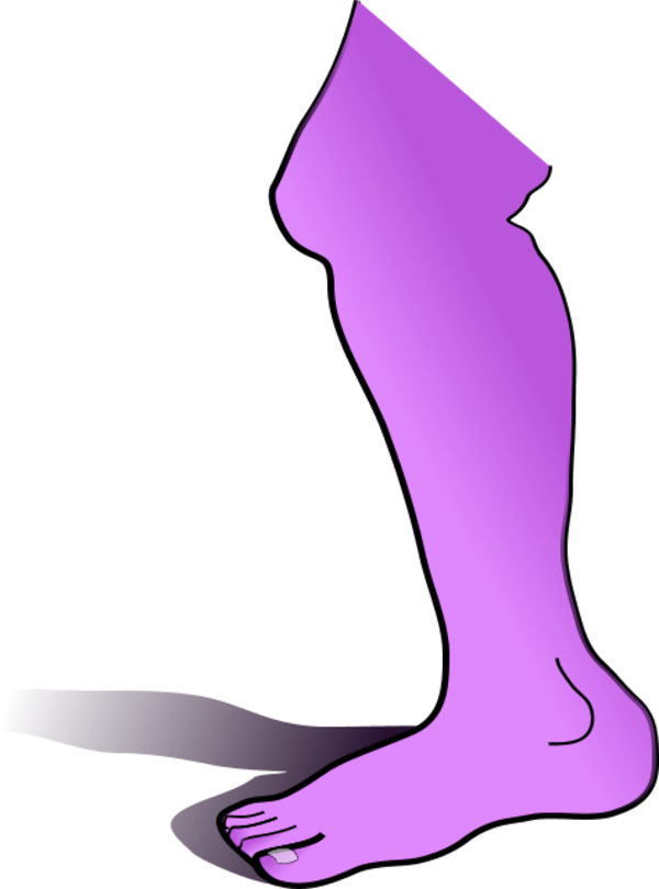 Vector Clip Art - Leg Clip Art (600x810)