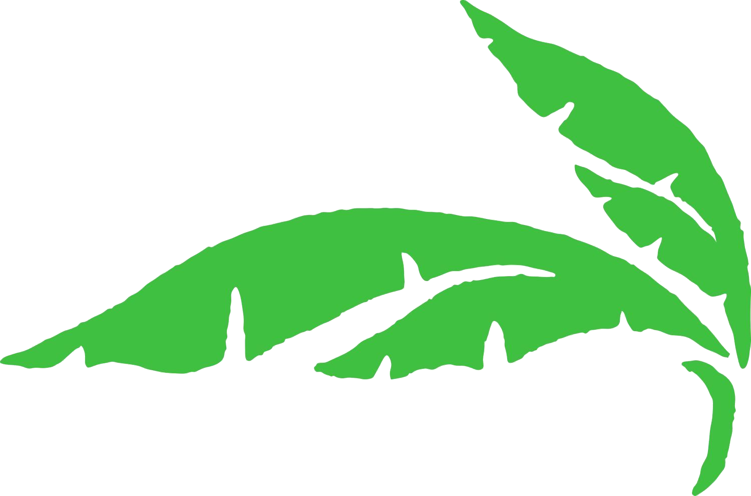 Heritage Palm Golf & Country Club 10420 Washingtonia - Illustration (1500x990)