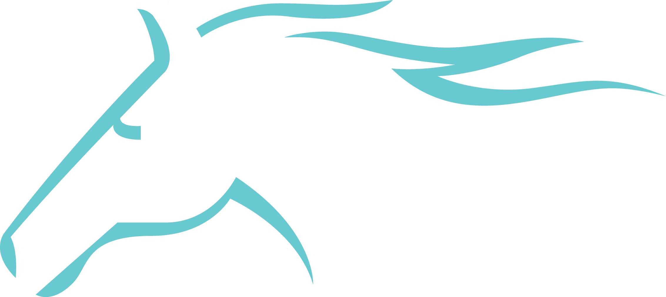 Flat Trainer Based In Historic Newmarket - Flat Trainer Based In Historic Newmarket (2265x1011)