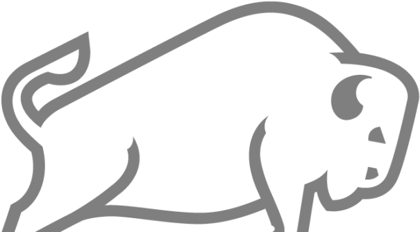 Bcg To Honor Employees With Buffalo Strong Celebration - White Buffalo Clipart (680x350)