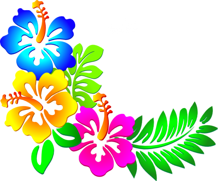 Permalink To Hawaiian Border Clip Art - Clipart Of Flowers Borders (728x606)
